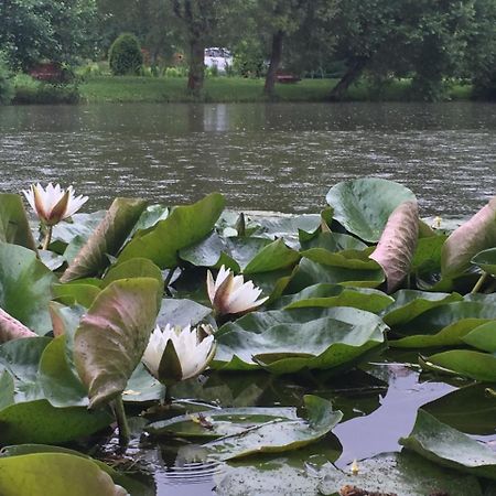 Fantanita Craiesei Hotell Făgăraş Eksteriør bilde